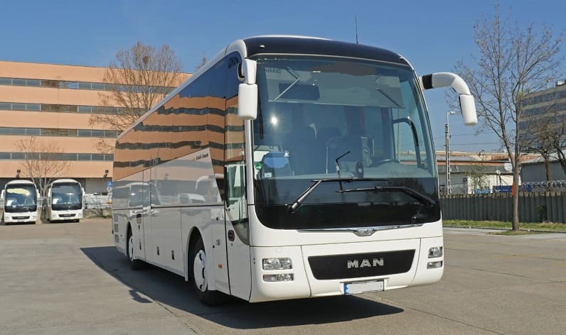 Burgenland: Buses operator in Neusiedl am See in Neusiedl am See and Austria