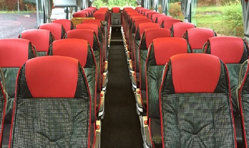 Hungary: Coaches rent in Győr-Moson-Sopron in Győr-Moson-Sopron and Győr
